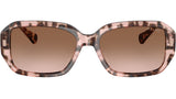RA5325U 605813 Rose Havana