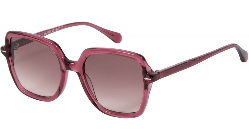 Gretel 6685 6 Purple