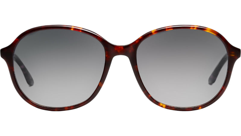 Solenne Sun Tortoise