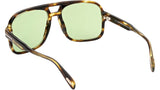 Falconer-02 FT0884 52N Dark Havana Green