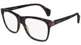 GG0526O 002 dark tortoise