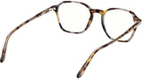 FT5804-B 055 Coloured Havana