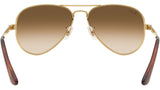 Aviator Max RB3925 001/51