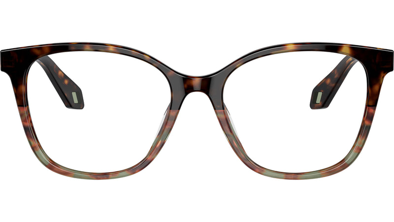 AR 7246U 5879 Tortoise