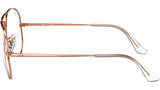 Aviator Optics RB6489 3094