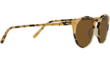O'Malley Sun OV5183S 170153 Tortoise YTB