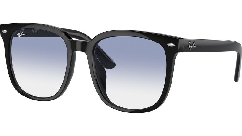 RB4401D 601/19 Black