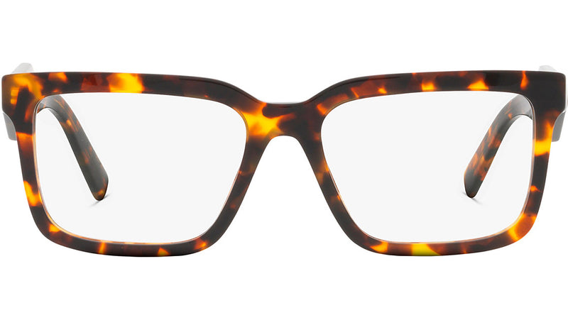 PR 10YV VAU1O1 honey tortoise