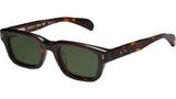 Eclaireur Sun Tortoise