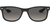 New Wayfarer RJ9052S 100/11 black