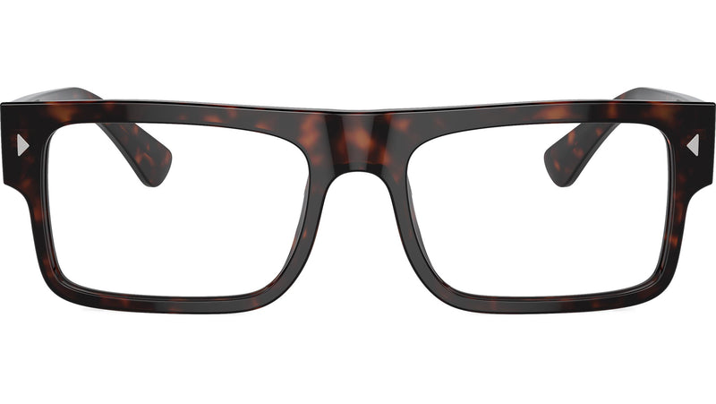 PR A01V 17N1O1 Tortoise