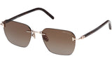 Carson-02 FT1433 28F