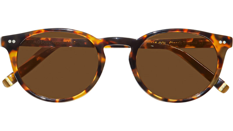 Frankie Sun Classic Havana