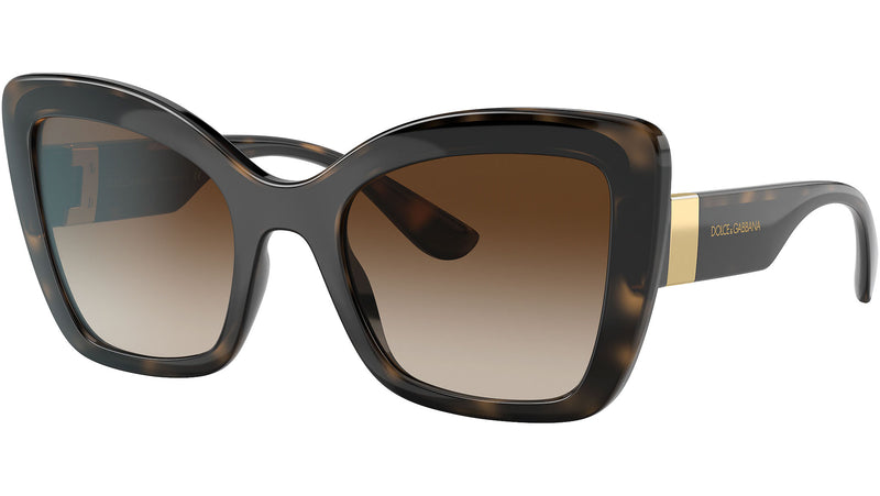 DG 6170 330613 tortoise