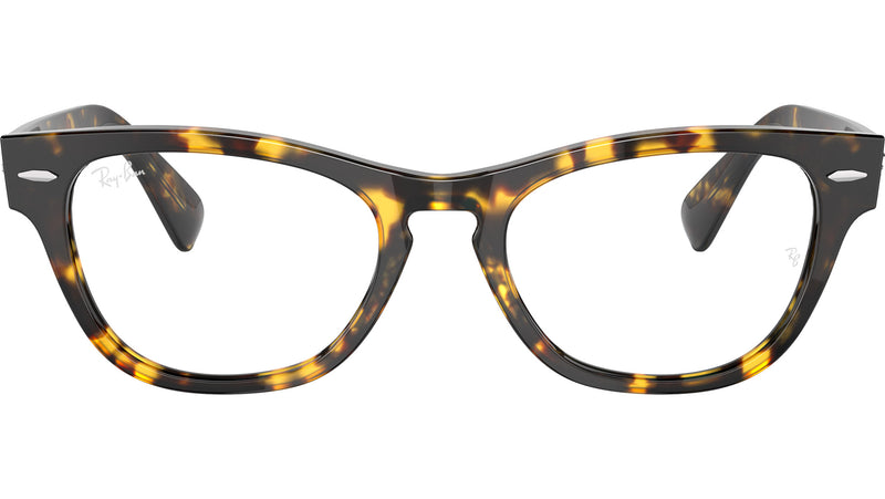 Laramie Optics RB2201V 8116