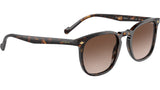 VO5328S W65613 dark havana