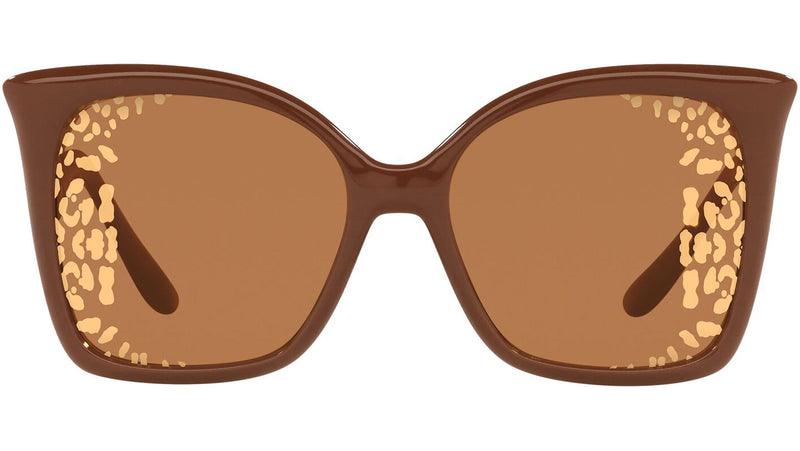 DG 6168 3292P4 brown