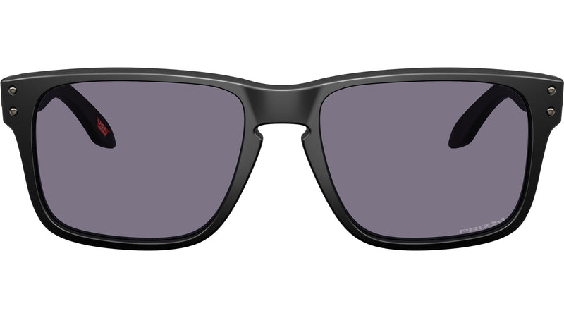 Holbrook S OO9509 02