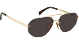 DB 1101/G/S J5G gold