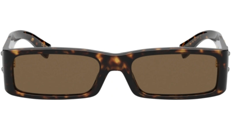 DG 4444 502/73 Tortoise Brown