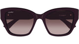 CT0666S 003