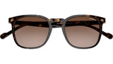 VO5328S W65613 dark havana