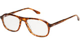 Paul Bekko Tortoise