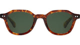 Sky Sun Bekko Tortoise