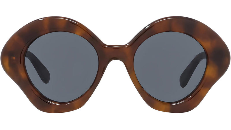 Curvy Havana Geometric Sunglasses