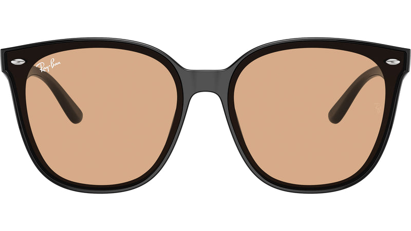 RB4423D 601/93 Black