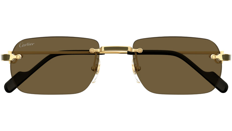 CT0498S 005 Gold Brown