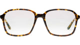 Marguerite Tortoise