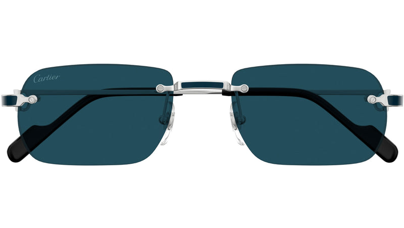 CT0498S 004 Platinum Blue