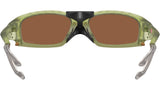 Plantaris SQ OO9529 04