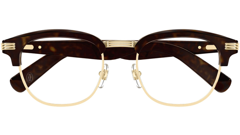 CT0496O 002 Tortoise