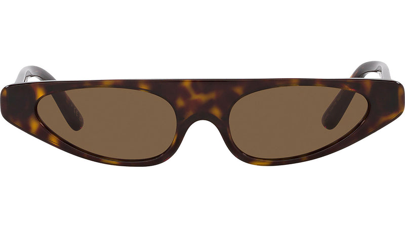 DG 4442 502/73 Tortoise Brown