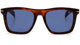DB 7000/S Brown Havana Blue Avio