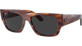 Carlos RB0947S 954/48 Tortoise