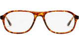 Paul Bekko Tortoise