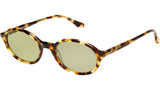 It's A Girl Tokyo Tortoise