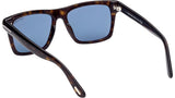 Buckley-02 FT0906 52V Dark Havana Blue