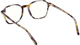 FT5804-B 055 Coloured Havana