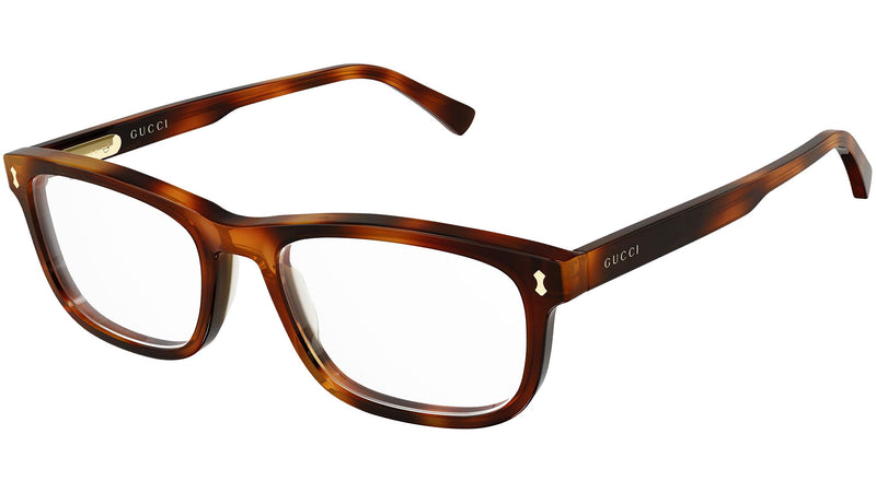 GG1046O 002 dark tortoise