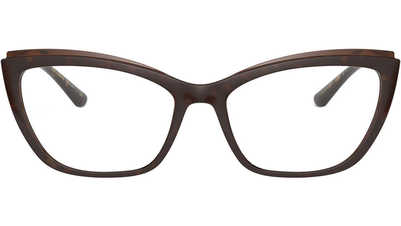 DG 5054 3185 tortoise