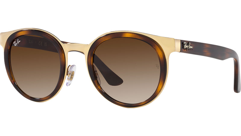 Bonnie RB3710 001/13 tortoise