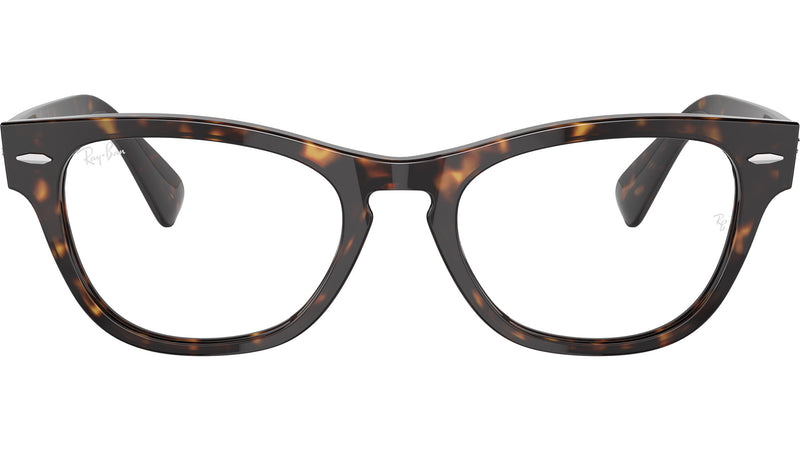 Laramie Optics RB2201V 2012