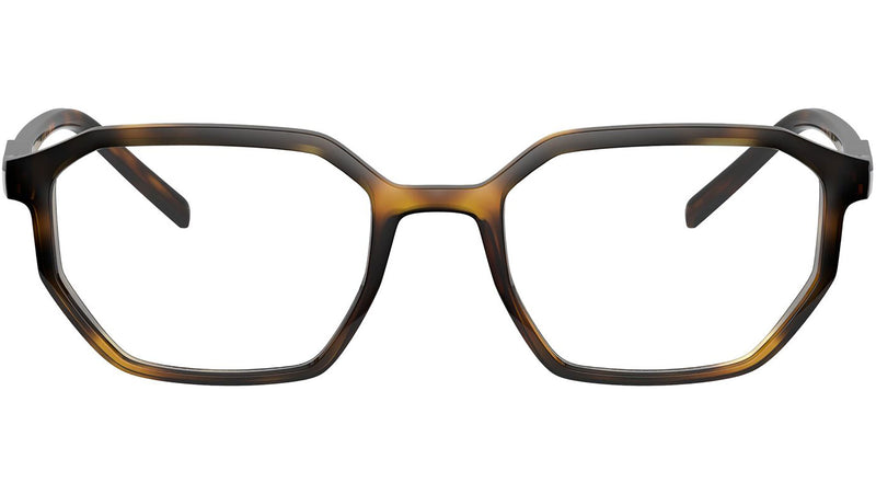 DG 5060 502 tortoise