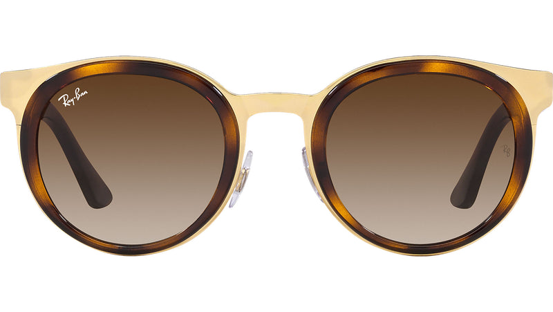 Bonnie RB3710 001/13 tortoise