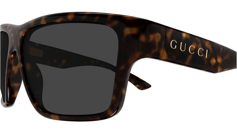 GG2239S 002