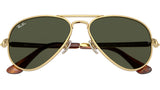 Aviator Max RB3925 001/31